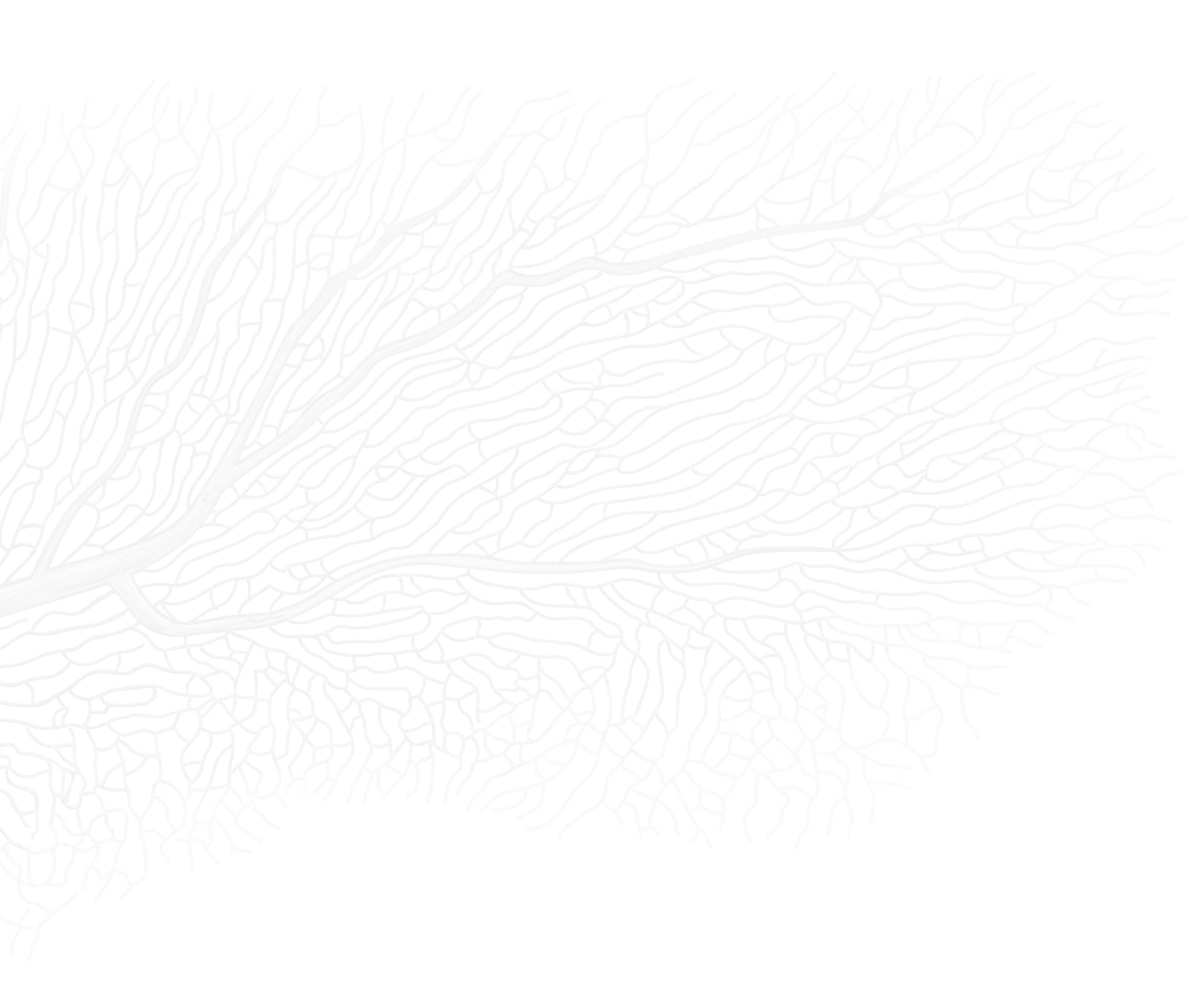 Coral Pattern Bottom Left