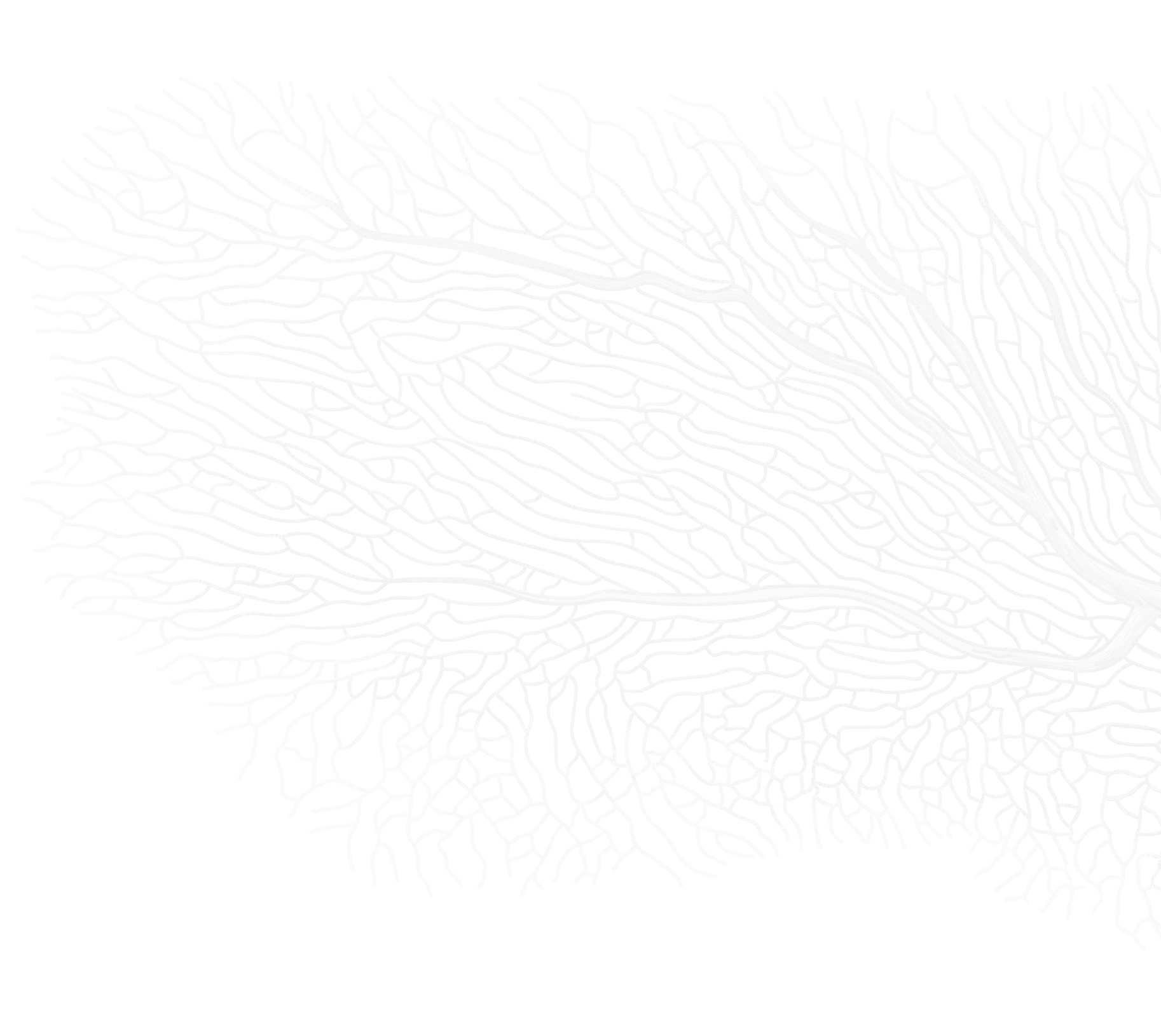 Coral Pattern Top Right